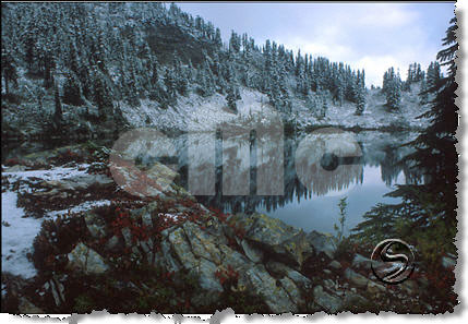 sample photo